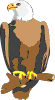 eagle1 eagle1.gif